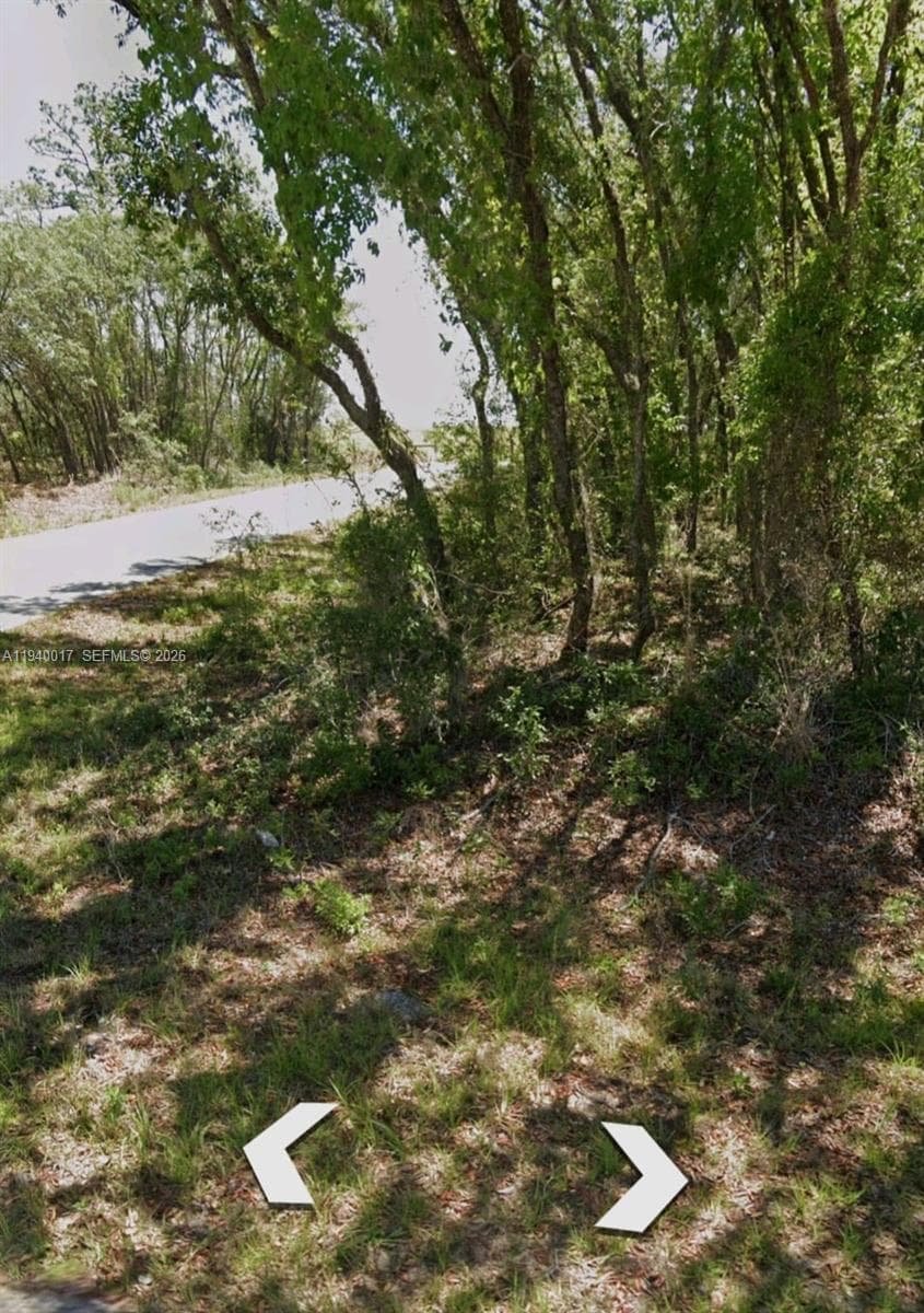 LOTS 1.2 NW Buena Vista Rd, Ocala FL 34431
