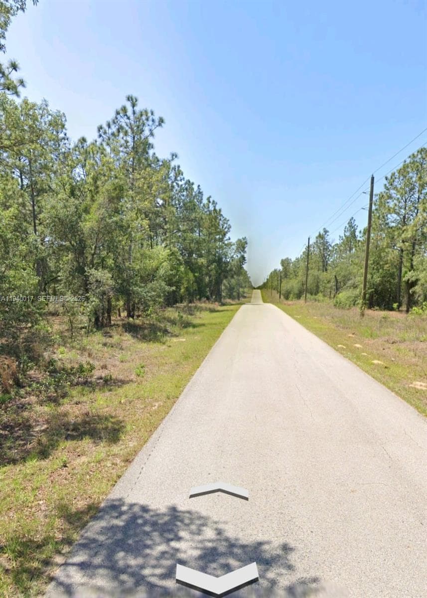 LOTS 1.2 NW Buena Vista Rd, Ocala FL 34431
