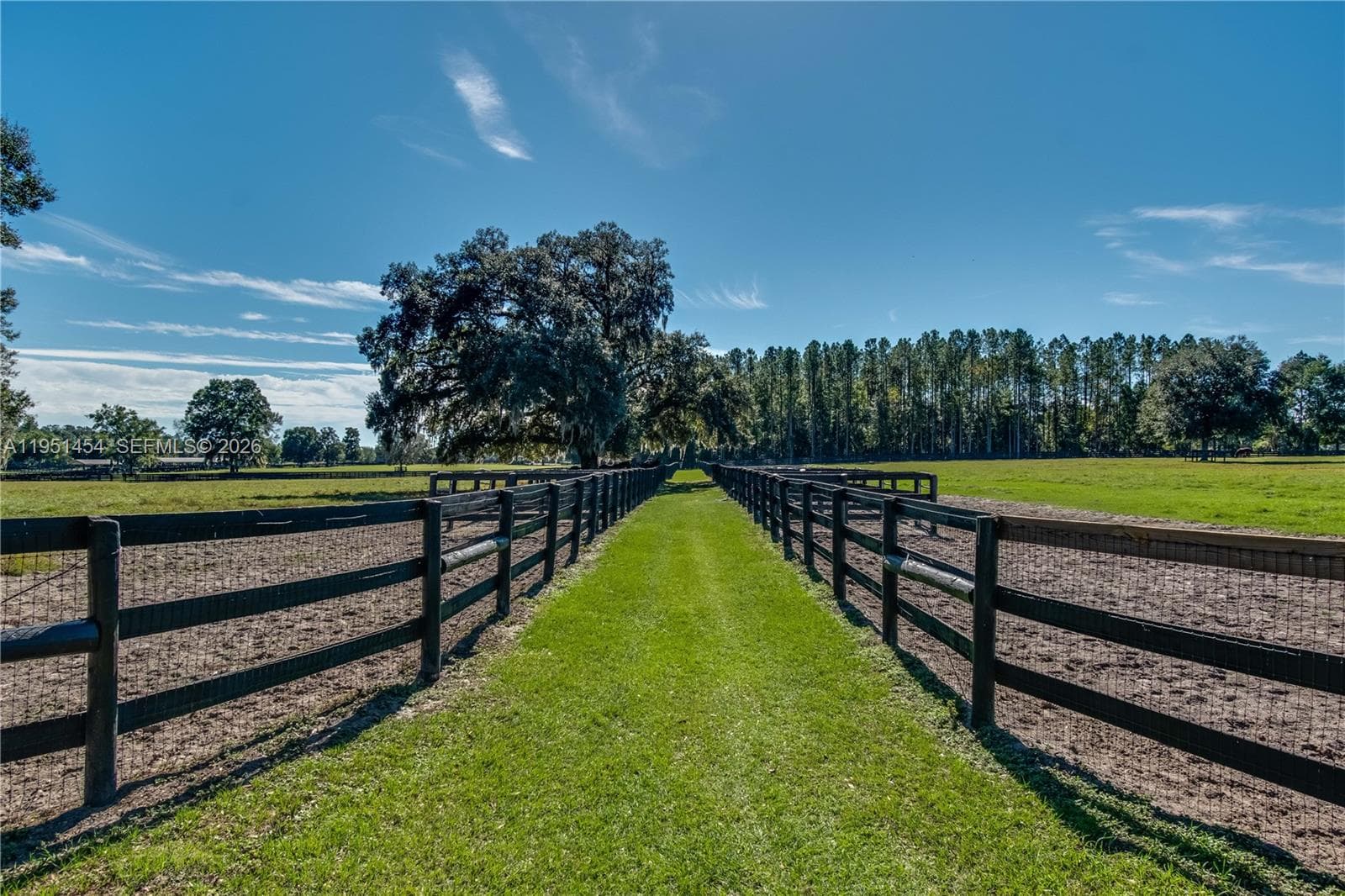 7787 NW 150TH AVE, Ocala FL 32668