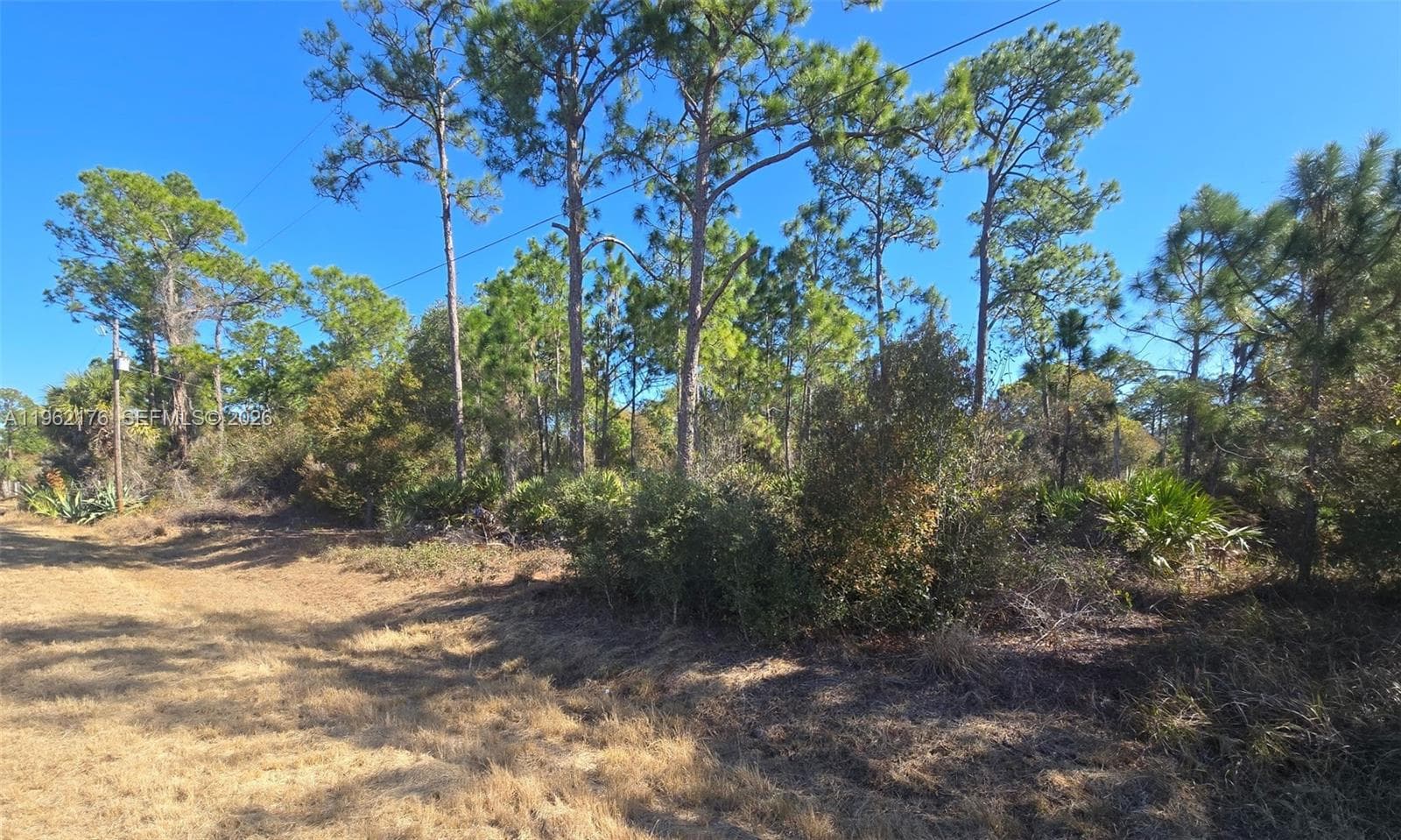 665 S Palm St, Clewiston FL 33440