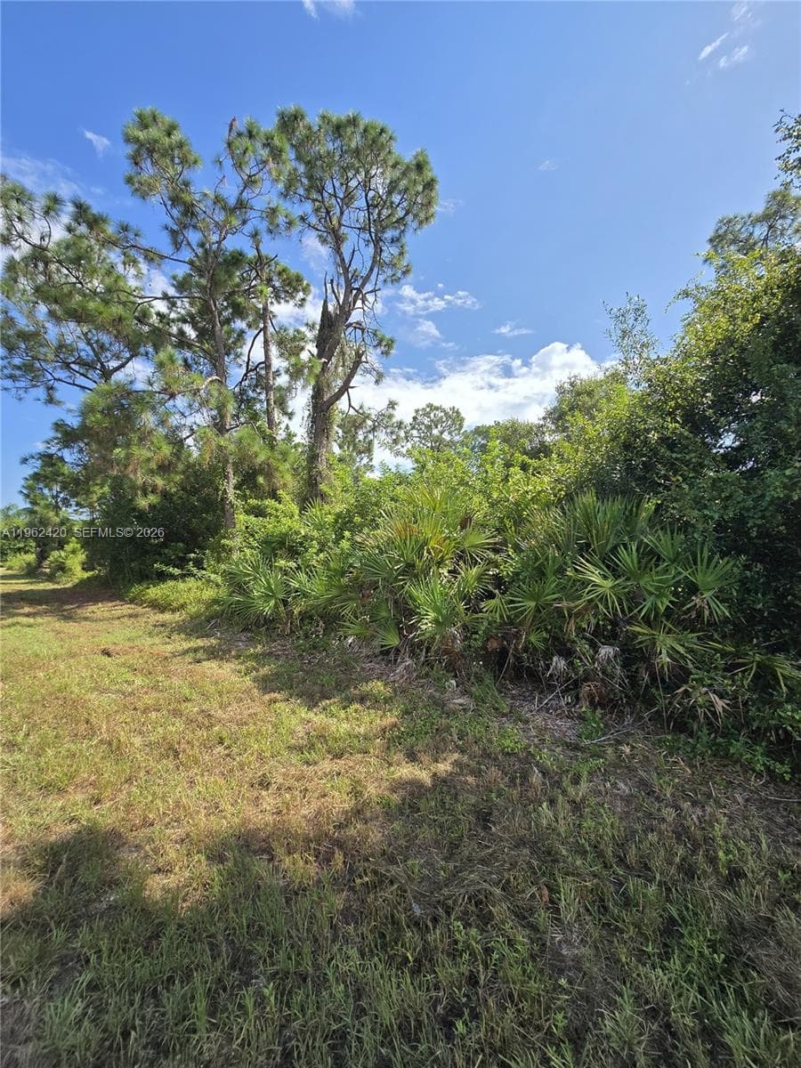 233 MALDEN AVE S, Lehigh Acres FL 33974