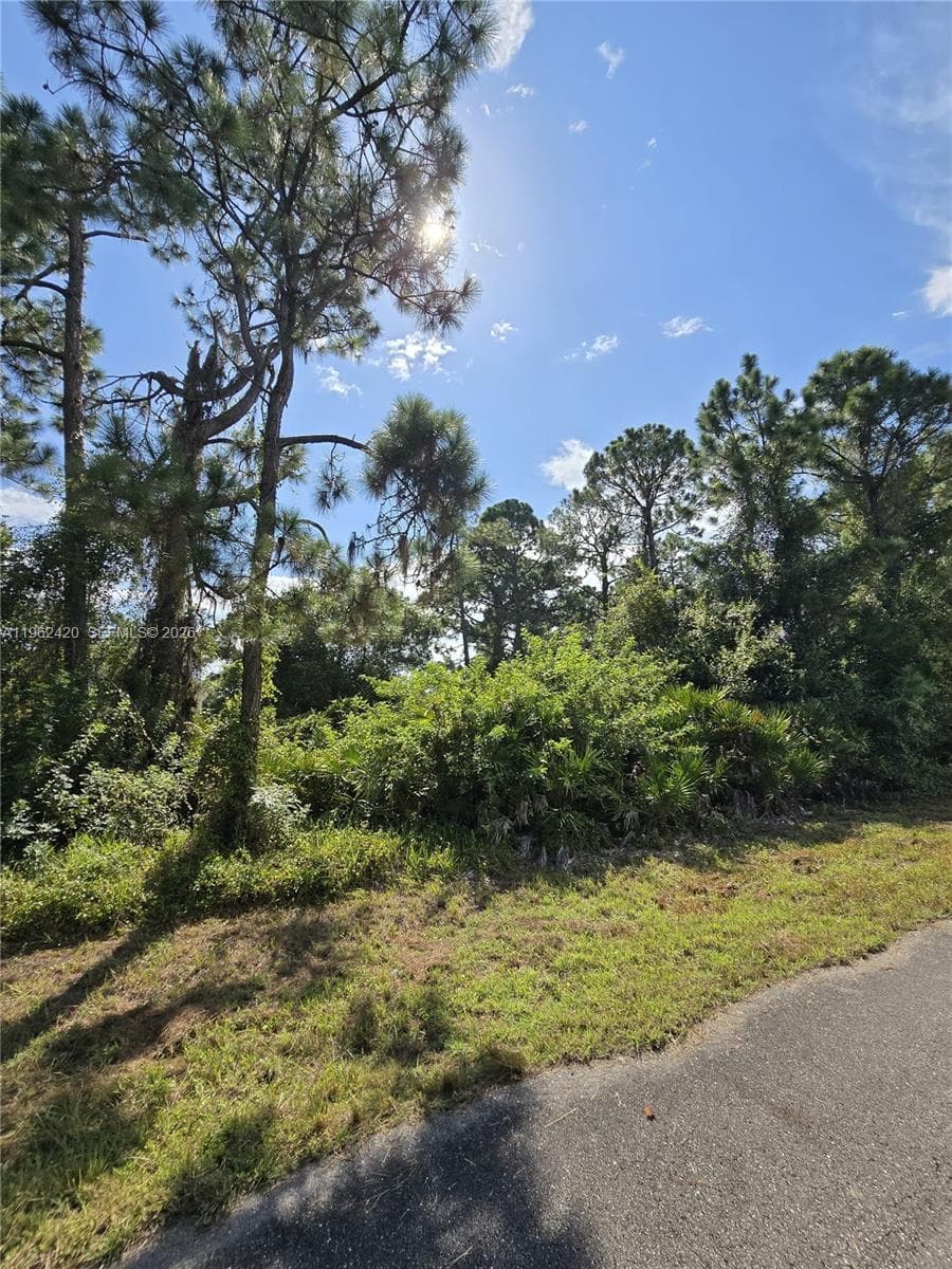 233 MALDEN AVE S, Lehigh Acres FL 33974