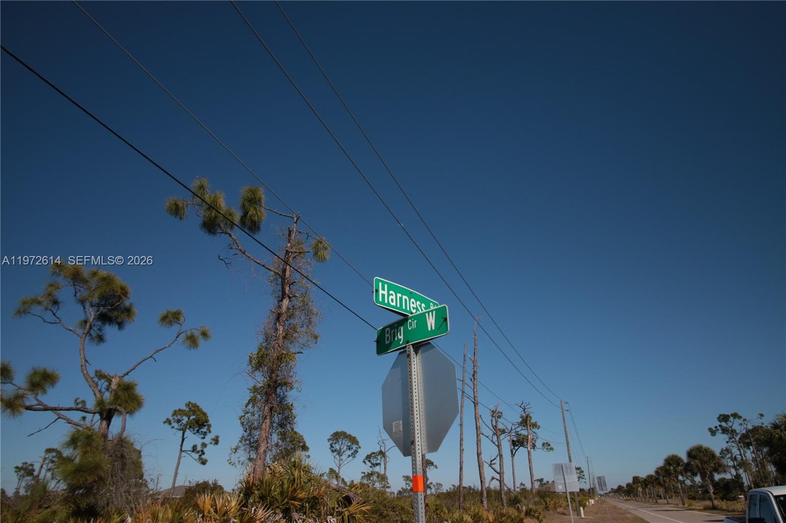 26 HARNESS, Other City - In The State Of Florida FL 33946