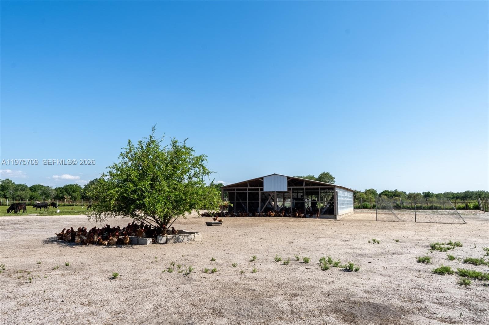 21810 NW 270TH ST, Okeechobee FL 34972