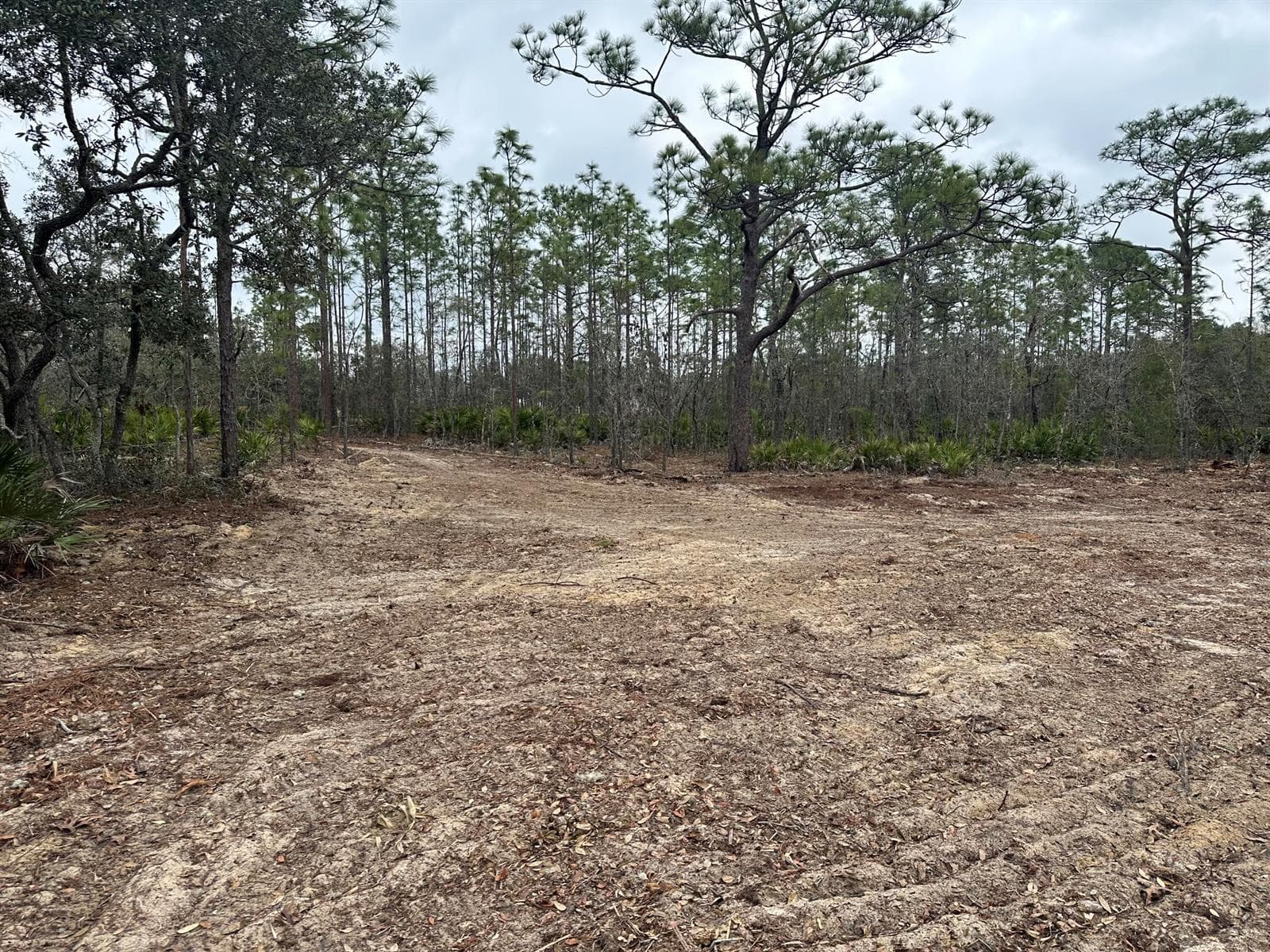 IMG_4198