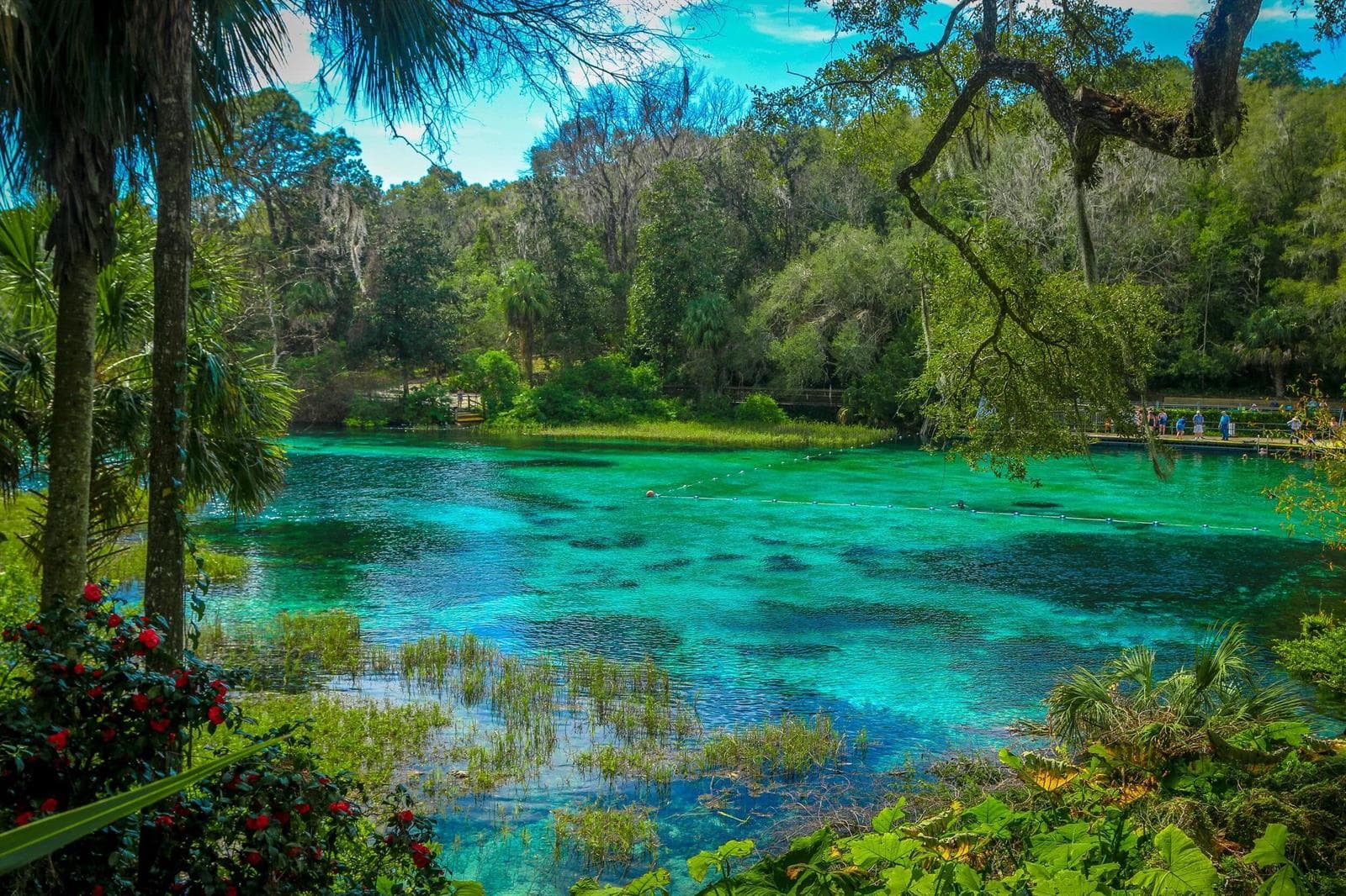 Rainbow Springs State Park