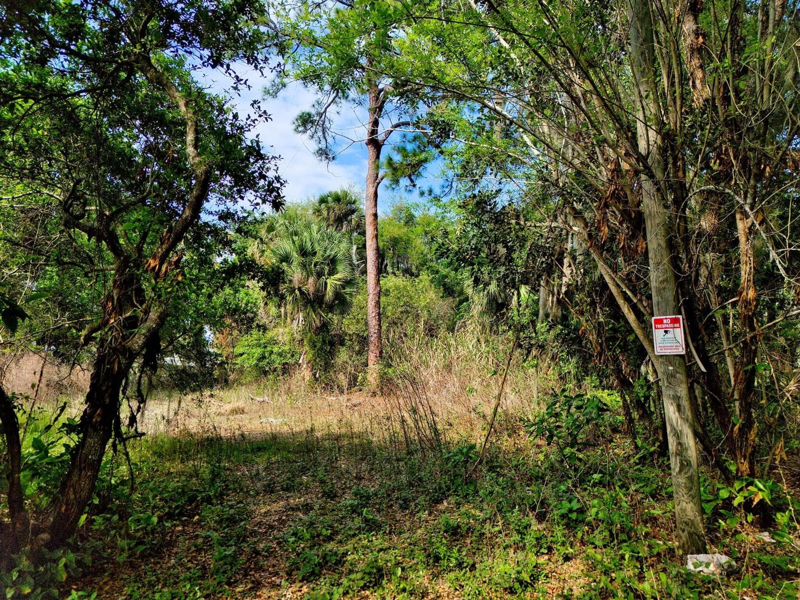 Fort Pierce, FL Land – View