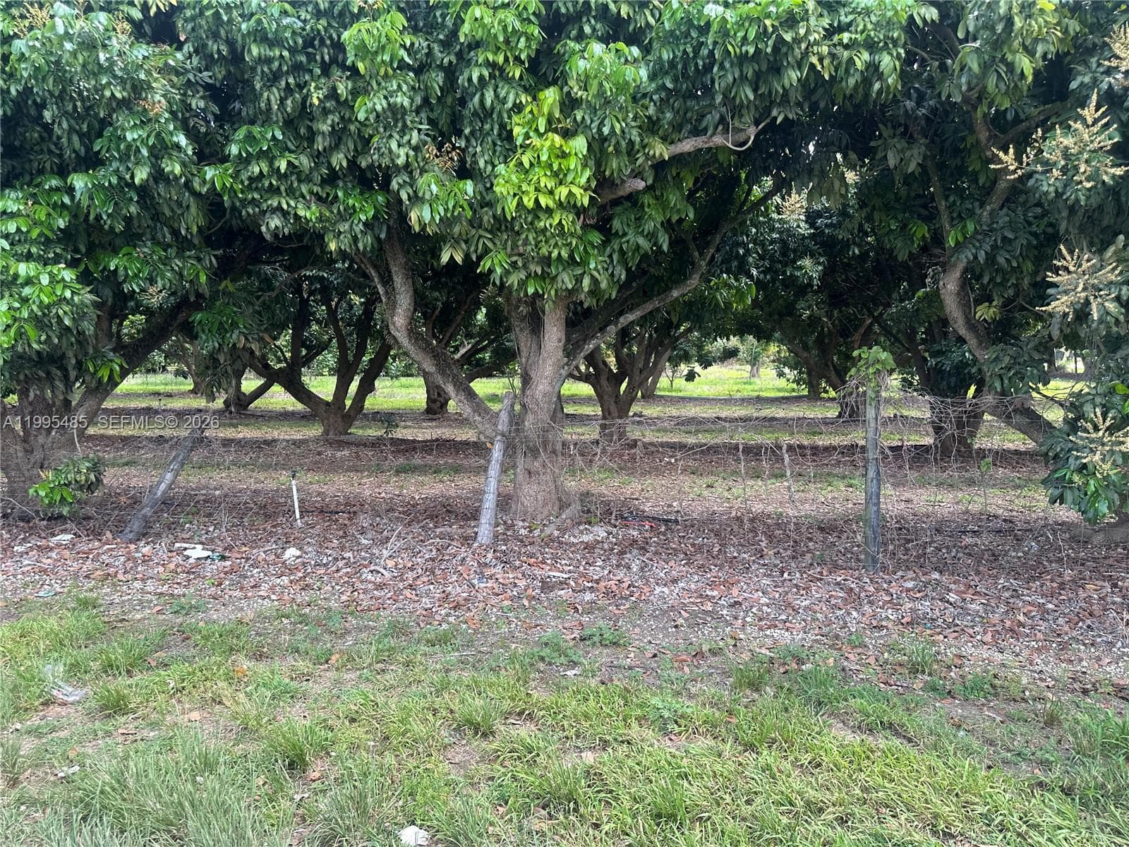 SW 344 St., Homestead FL 33034