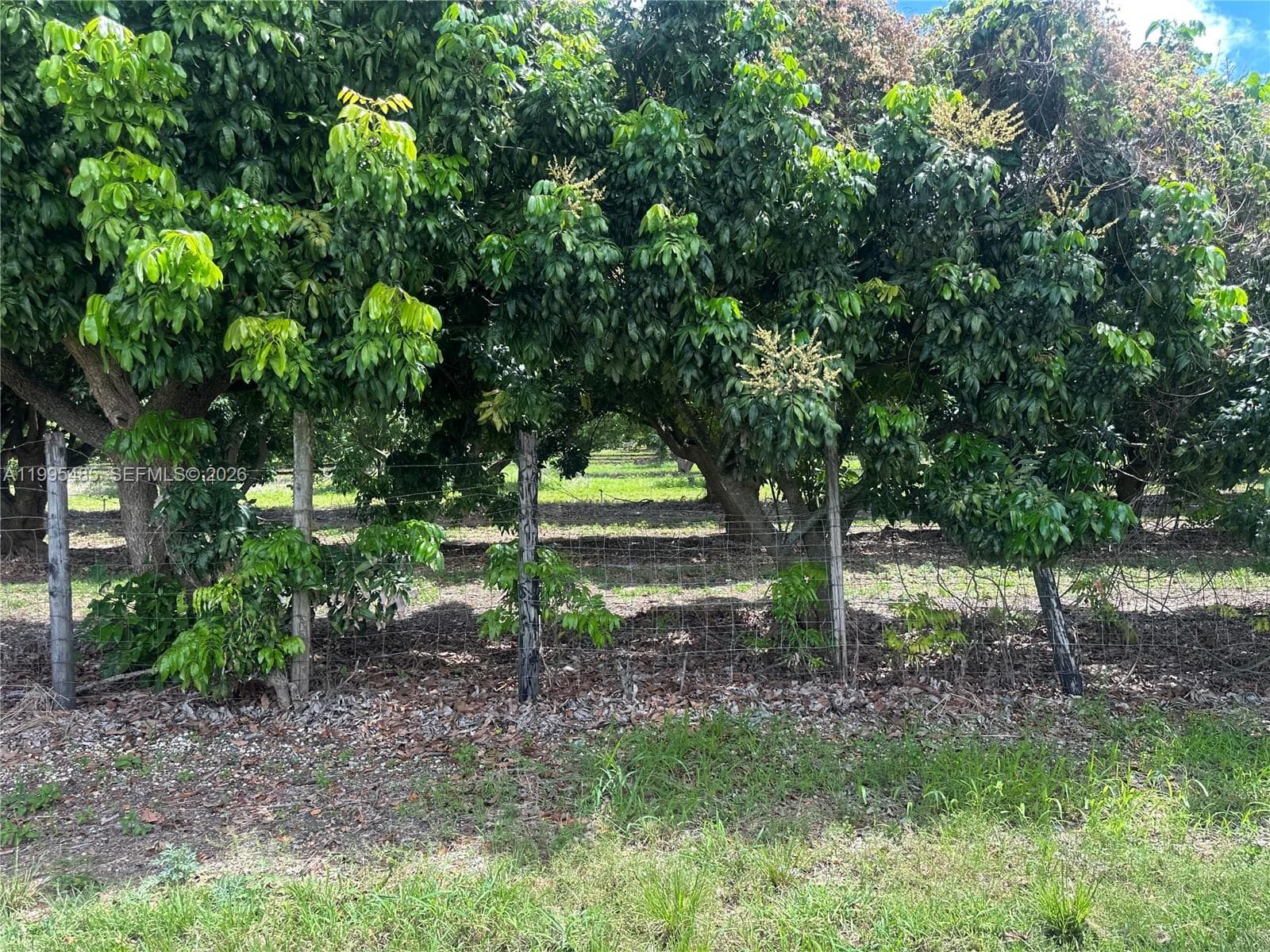 SW 344 St., Homestead FL 33034