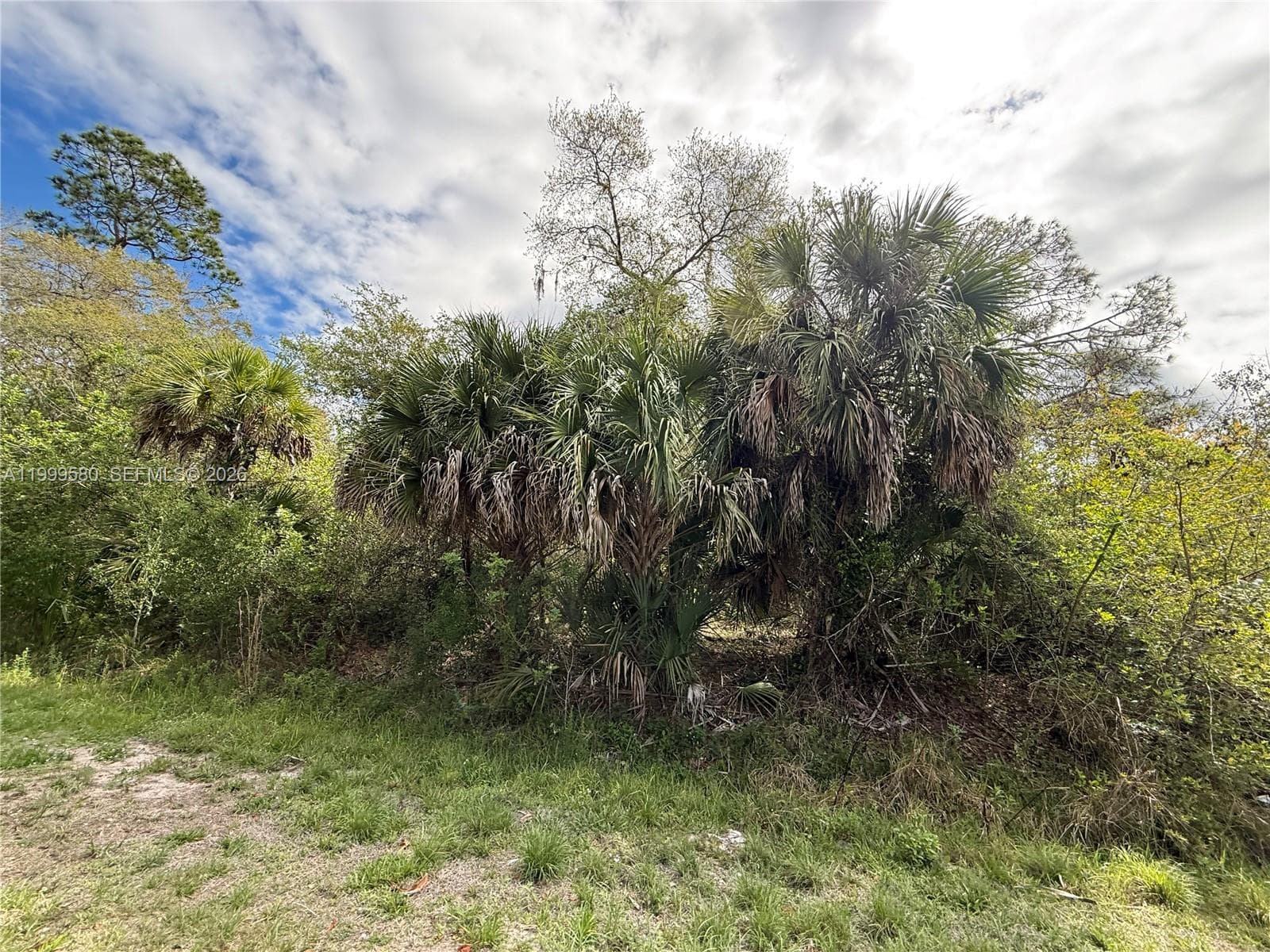 775 N ZAMBRIA ST, Clewiston FL 33440