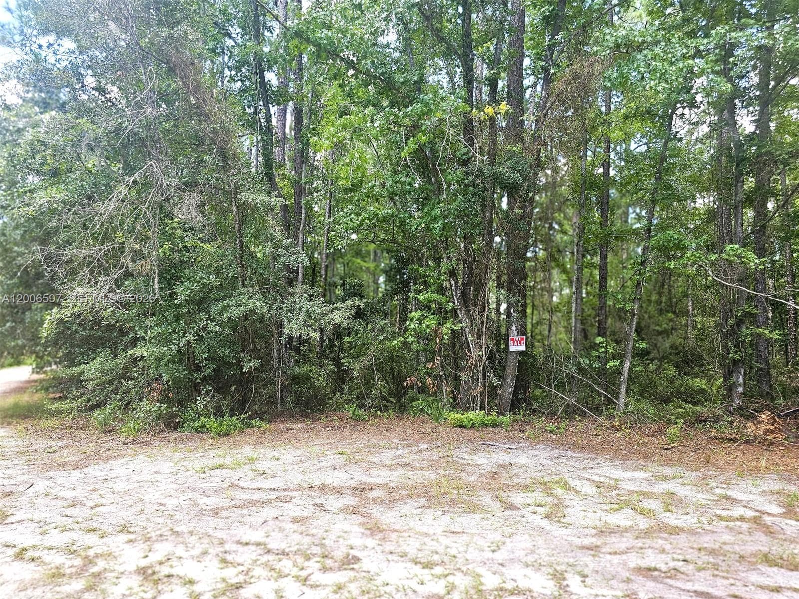 No situs SE 2nd ST, Palatka FL 32177