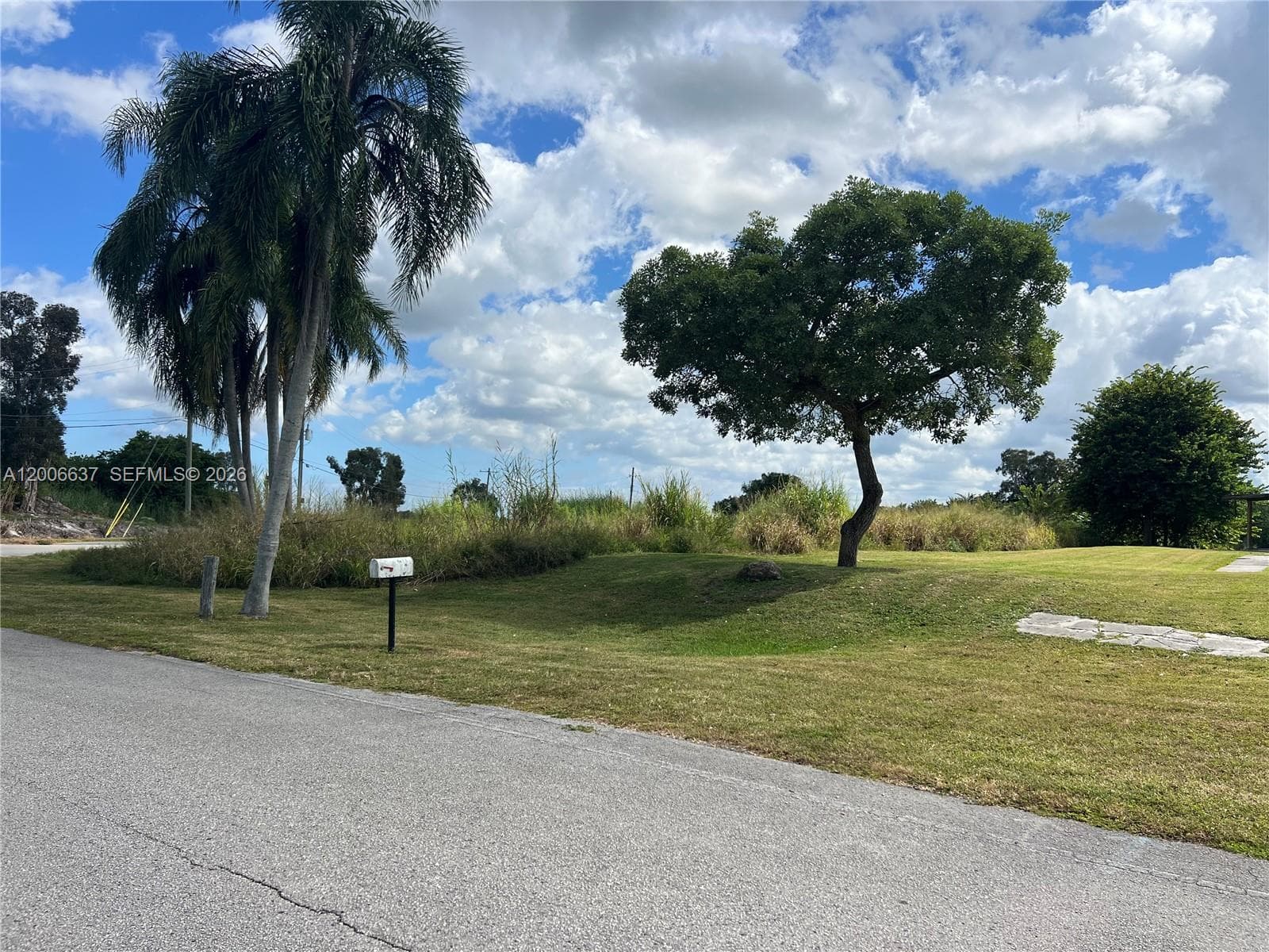 Corner of the lot