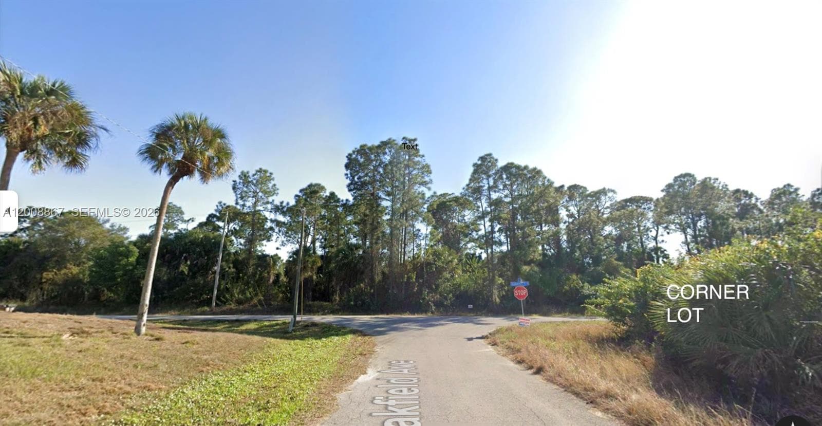 542 OAKFIELD AVE, Lehigh Acres FL 33974