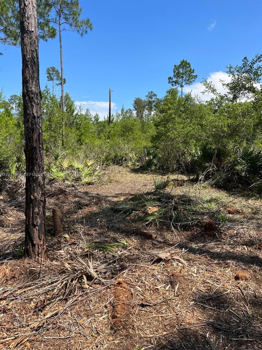117 Lodge Pole Cir, Other City - In The State Of Florida FL 32139