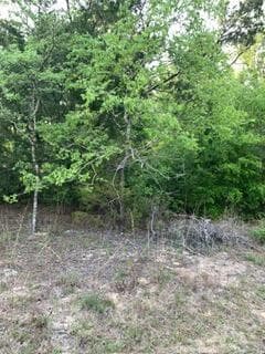 Gardenia Dr Lot to build a house