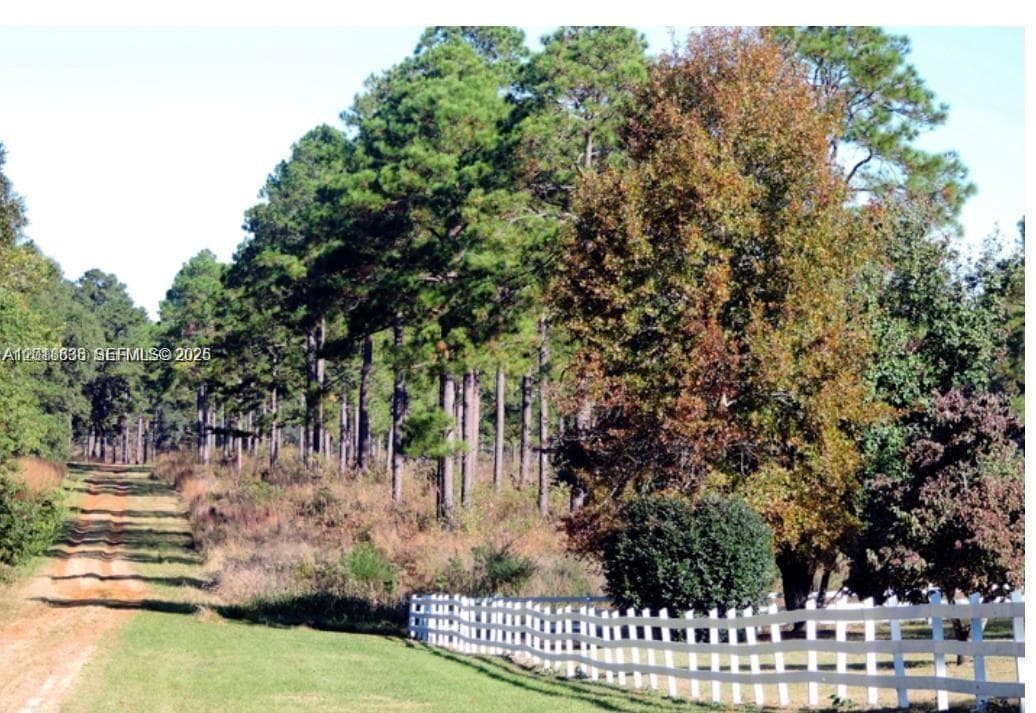 Lot 59 Magnolia Plantation, GA 31568