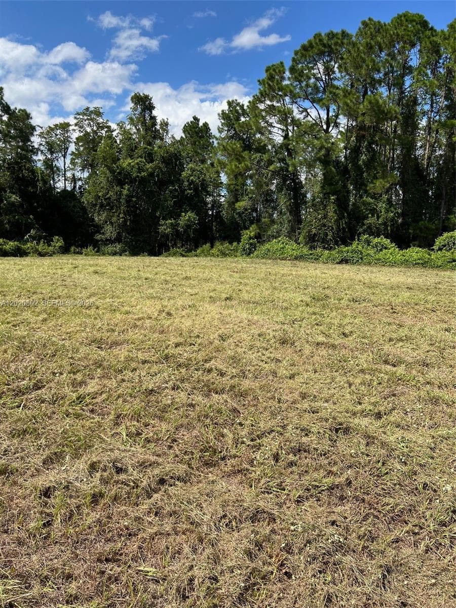 Huntington Shortcut Rd, Cresent City FL 32112