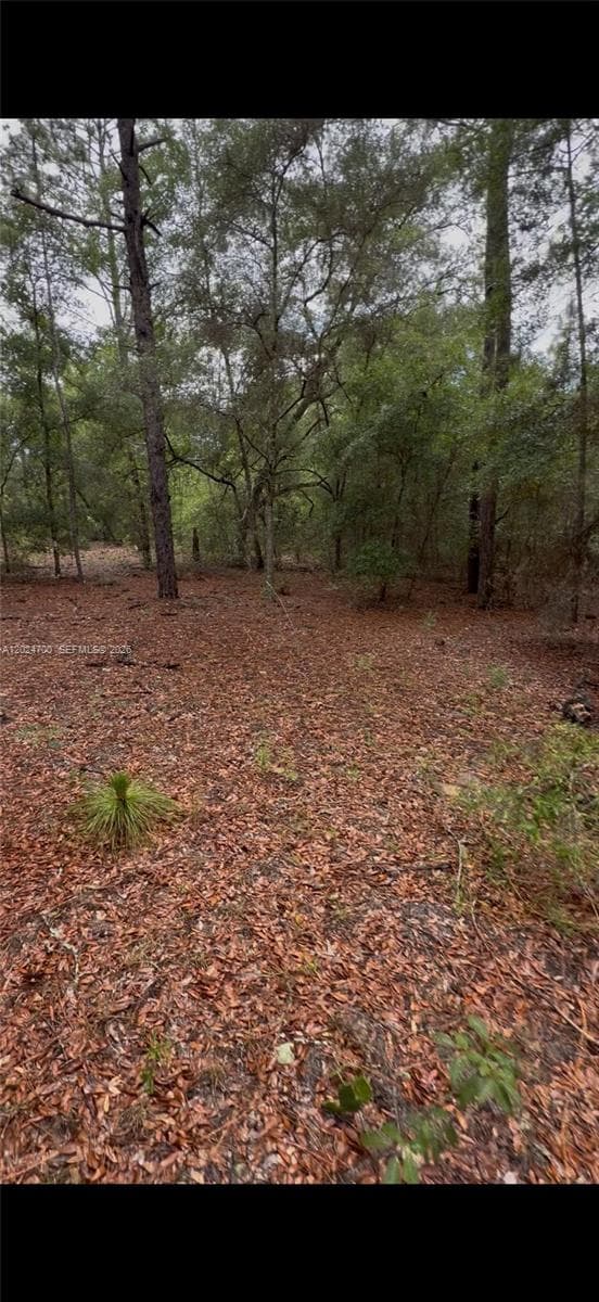 1373 SW 153rd Ave, Ocala FL 34481