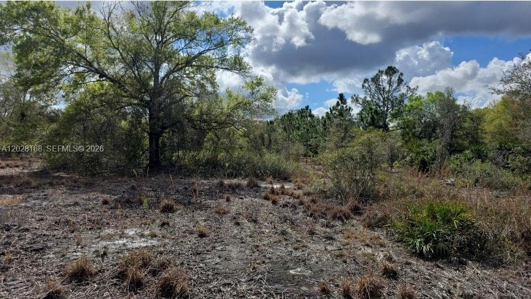 17718 NW 282nd St, Okeechobee FL 34972