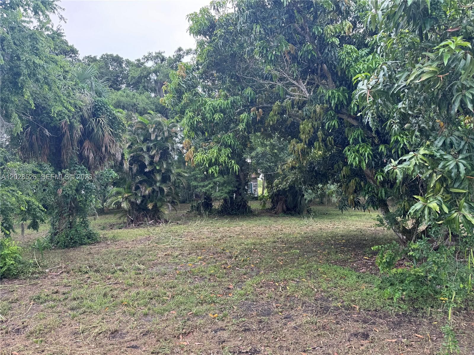 19121 SW Conners Hwy, Port Mayaca FL 33438