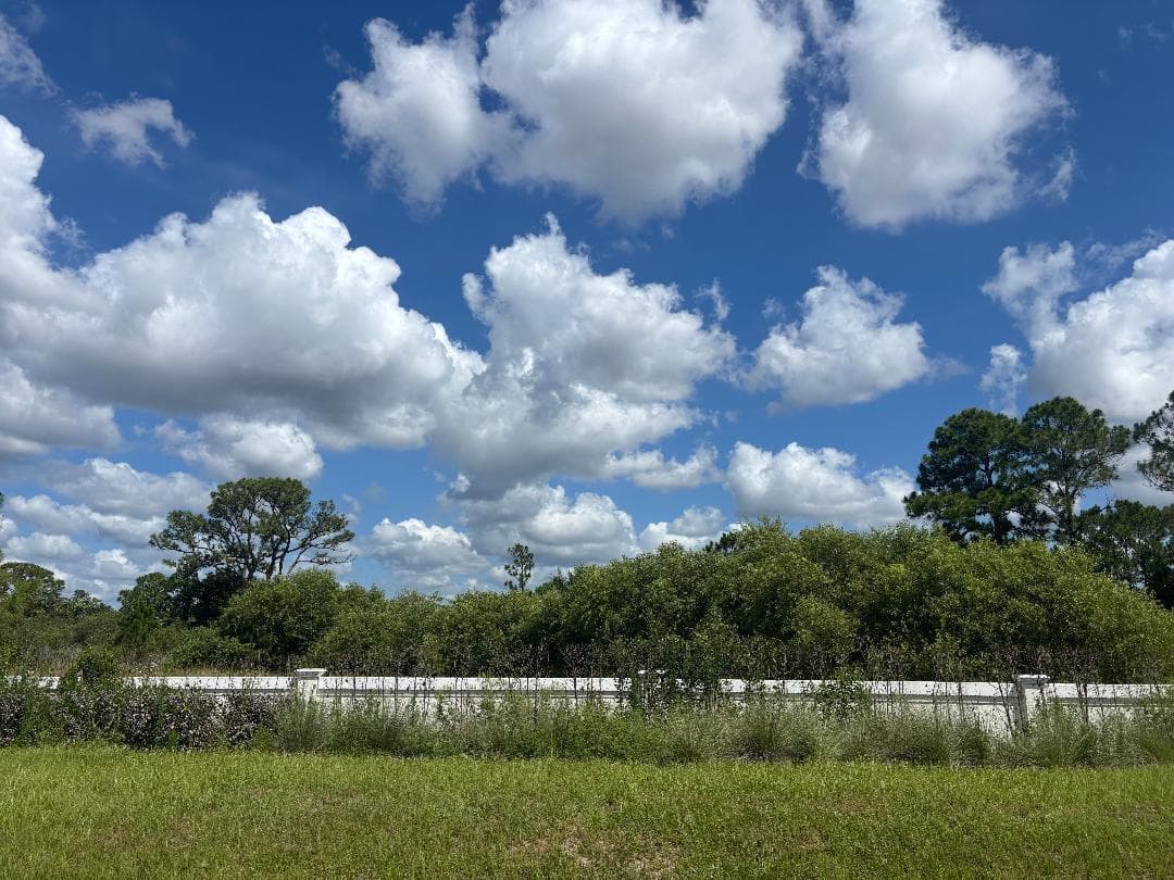 Lot 58 Back wall