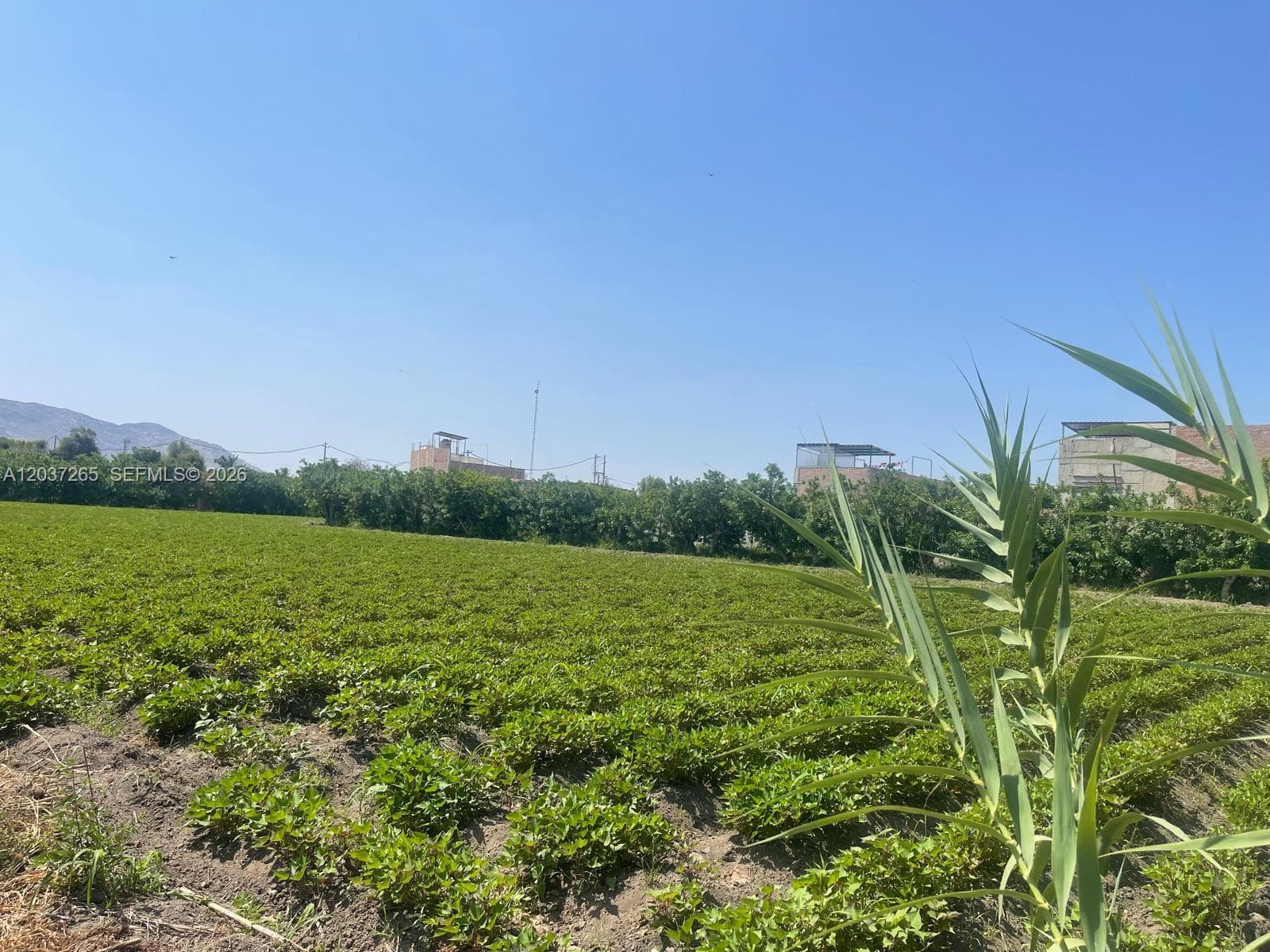 Lote utilizado parcialmente y temporalmente por agricultores.