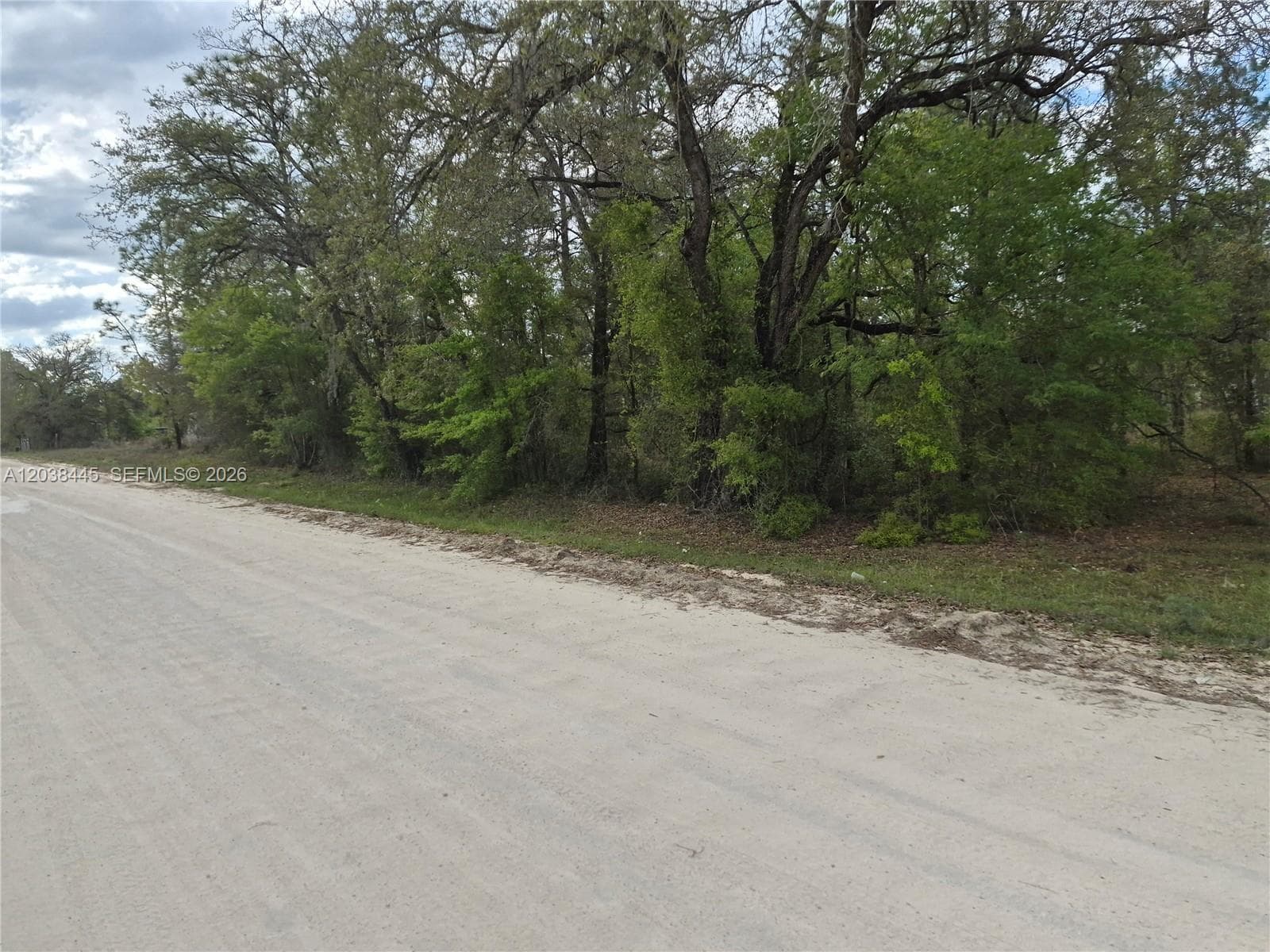 00 NE 4 ST, Williston FL 32696