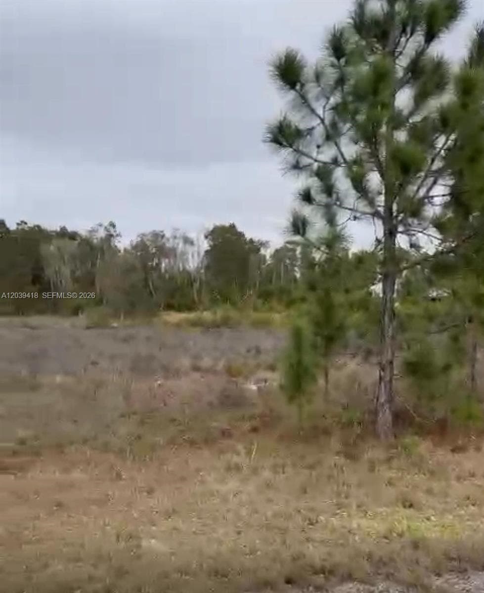741 Bobolink Ave, Other City - In The State Of Florida FL 33974