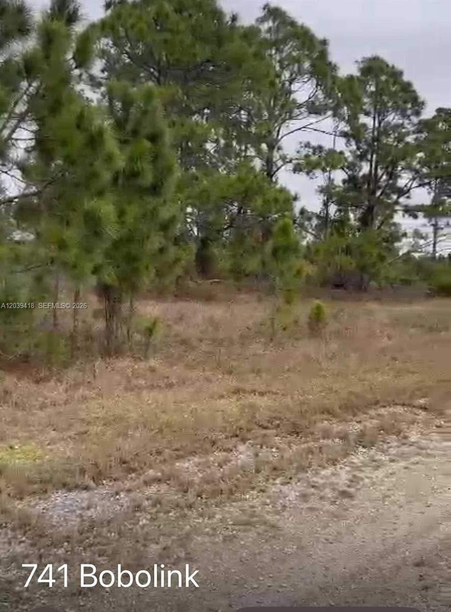 741 Bobolink Ave, Other City - In The State Of Florida FL 33974