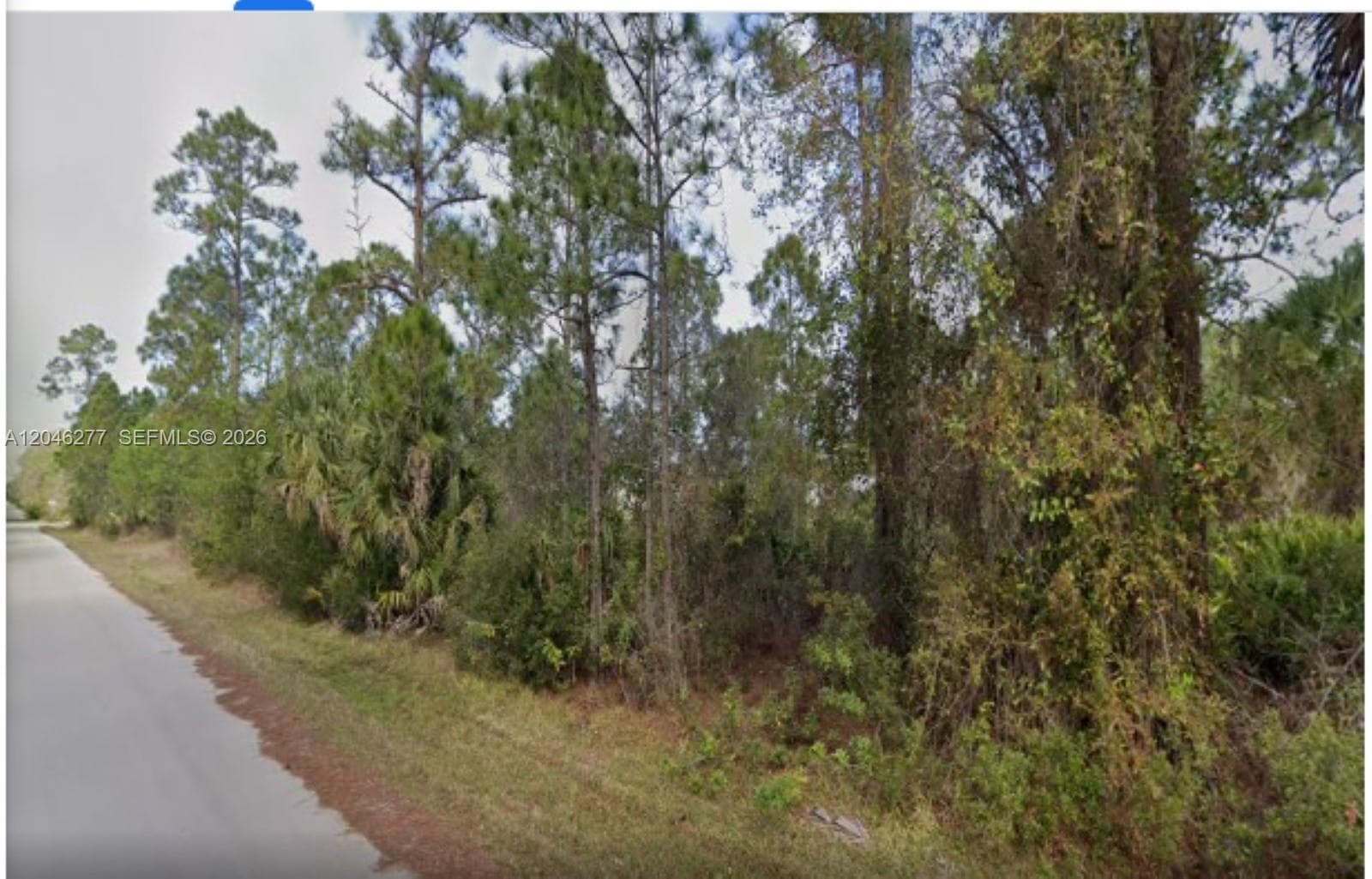 26318 Hapsburg Rd, Punta Gorda FL 33955
