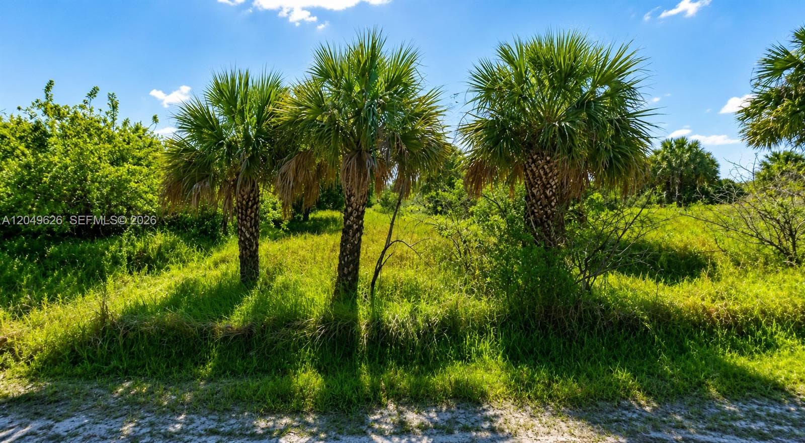 2129 ALWAR AVE SW, Palm Bay FL 32908