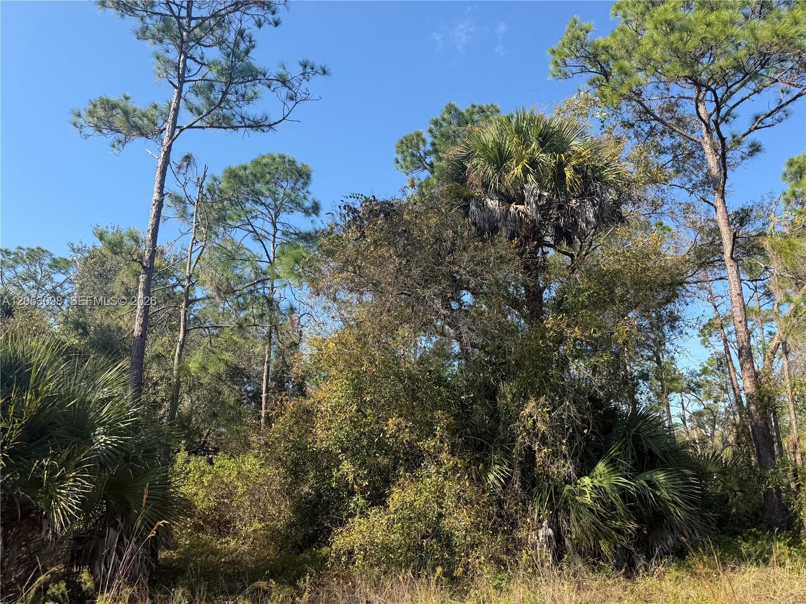 740 S LINDERO ST, Clewiston FL 33440