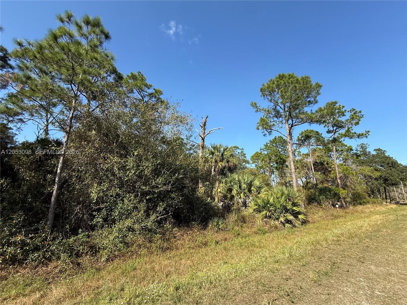740 S LINDERO ST, Clewiston FL 33440