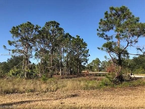 726 S Gaylord Avenue, Lehigh Acres FL 33974