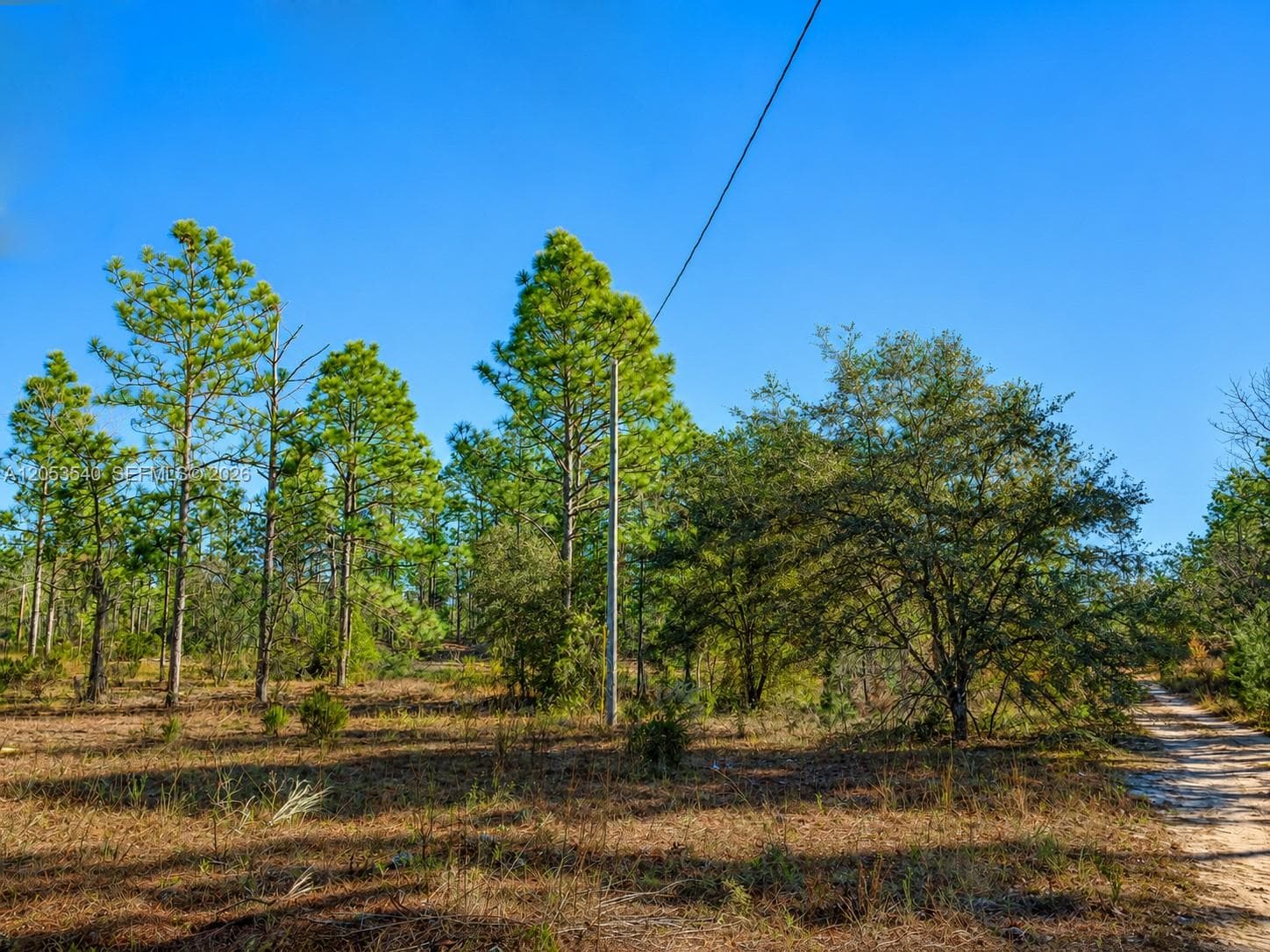 130 Indianapolis St, Palatka FL 32640