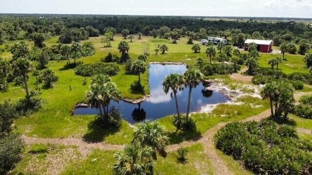 pond