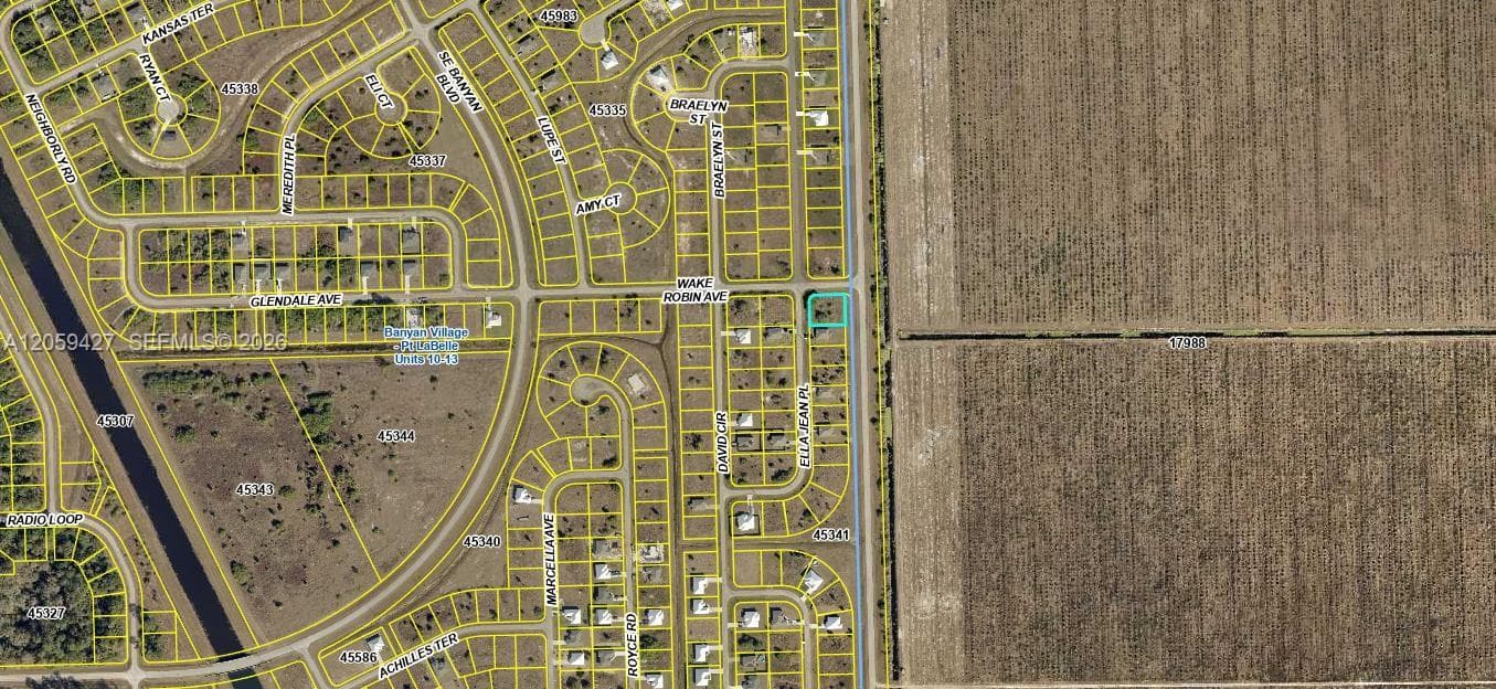 501 Ella Jean Pl, La Belle FL 33935