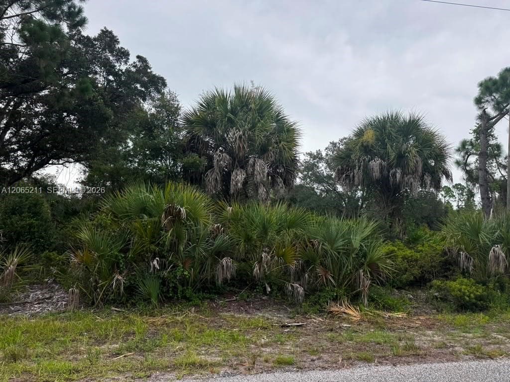LOT in Port Charlotte closed to expresswatys.