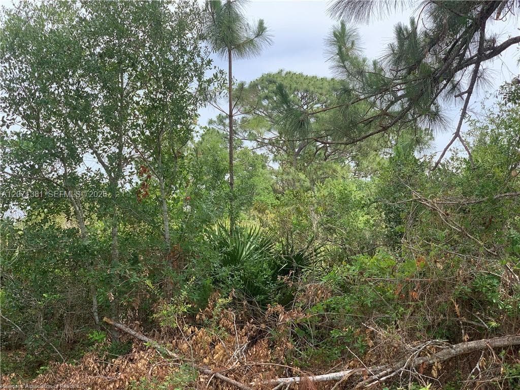 105 Citation St, Lake Placid FL 33852
