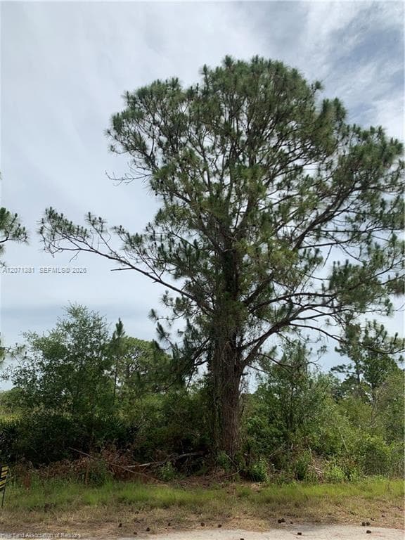 105 Citation St, Lake Placid FL 33852