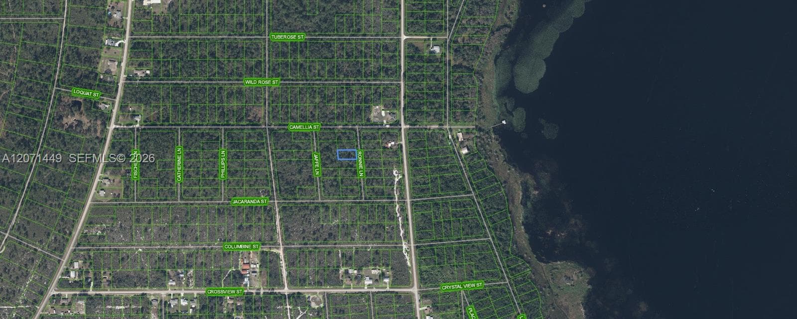 722 Ronnie Lane, Lake Placid FL 33852
