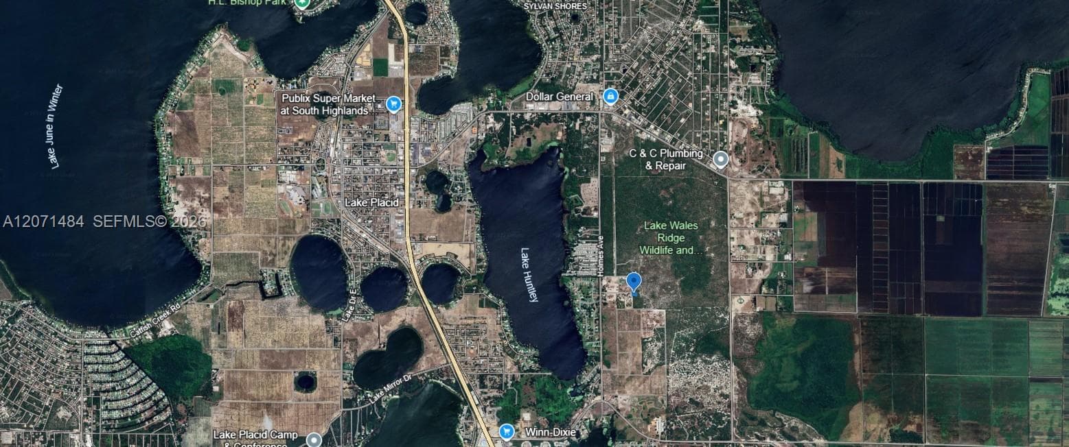 541 Carousel Lane, Lake Placid FL 33852