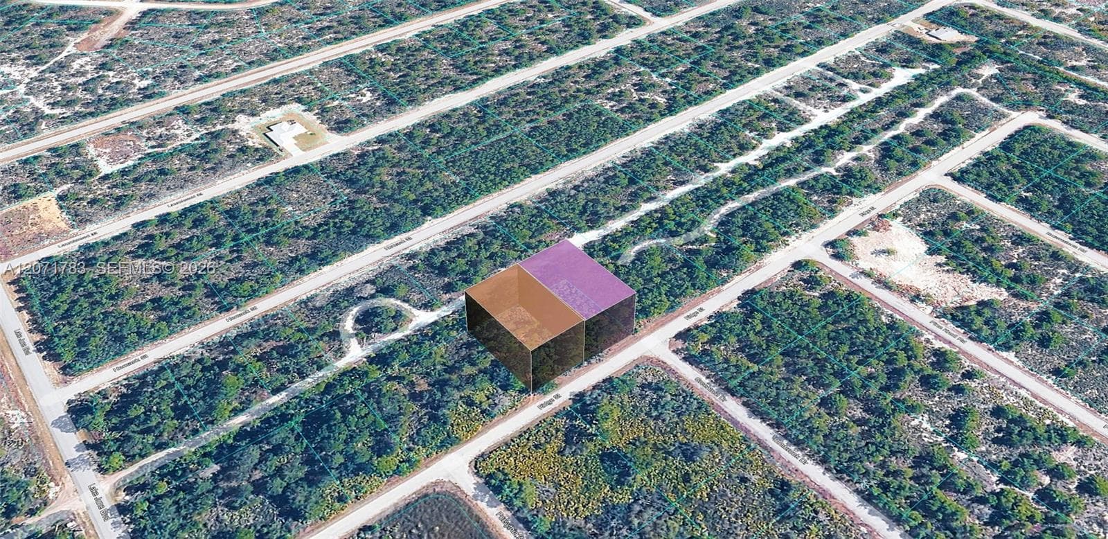 955 RIDGE ST, Lake Placid FL 33852