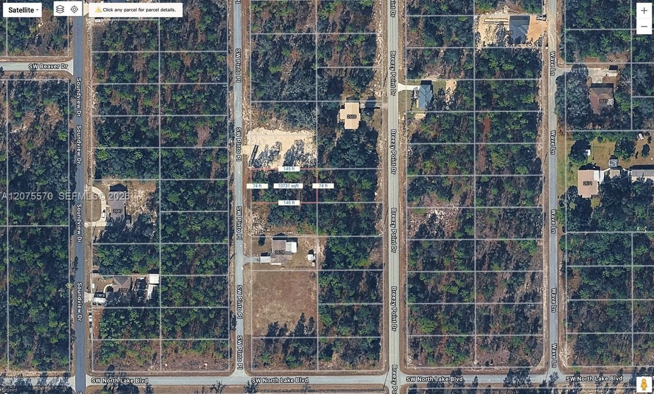 Lot location and size